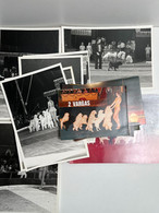 Cirque - Lot De 15 Photos Dompteur/Dresseur Chiens Caniches 2 VARGAS - Circus - Famous People