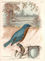 Chromo The American Singer Series Machine à Coudre Sewing Machine Oiseau Bird Uccello The Bluebird Année 1898 N°9 TB.E - Andere & Zonder Classificatie