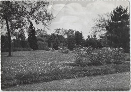 Henri Chapelle - Maison Beloeil Séjour De Repos Et De Convalescence - Welkenraedt