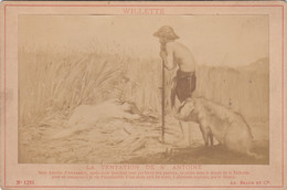 Illustrateurs - Peintre Willette - Photographie Fin XIXème - La Tentation De Saint-Antoine - Femme Nue - Cochon - Wilette