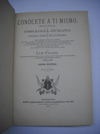 Dos Libros De FISIOLOGIA POPULAR HUMANA De 1881 DE LUIS FIGUIER. TOMO 1 Y TOMO 2 - Philosophy & Religion