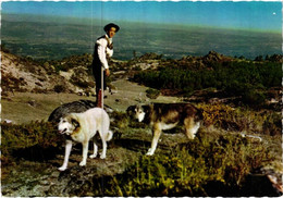 1966 GUARDA - PASTOR E CÃO BERGER ET CHIEN SERRA DA ESTRELA DOG SHEPHERD - PORTUGAL - Guarda