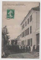 65 - Hautes Pyrénées / VIC En BIGORRE -- Collège De Jeunes Filles. Retour De Promenade. - Vic Sur Bigorre