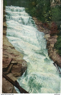 RIPLEY FALLS CRAWFORD NOTCH WHITE MOUNTAINS NH 1910 - White Mountains