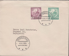 1959. ISLAND. JON TORKELSSON Complete Set On Cover Cancelled With VATNAJÖKUL 8.VI. 1959.  (Michel 331-332) - JF433982 - Lettres & Documents