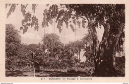 GUINEE FRANCAISE CONAKRY PAYSAGE A CAMAYENNE  TBE - Guinée Française