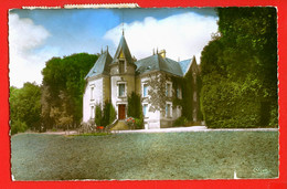 8702 - DEUX SEVRES - CERIZAY - Château De Puygenest - Cerizay