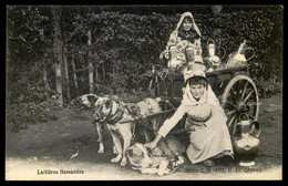 BELGIUM - Attelage De Chiens - Laitières Flamandes.( Ed. E.G. Déposé, Série 2, Nº 182)  Carte Postale - Artisanat