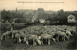 Bruyères Sur Oise * Un Troupeau De Moutons Sur La Berge De L'oise * Berger - Altri & Non Classificati