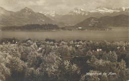 Meggen Die Alpen - Meggen