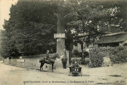 Montlignon * Forêt De Montmorency * Le Bouquet De La Vallée * Villa - Montlignon