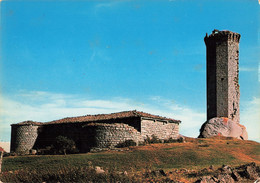 43 Près De Saugues Tour De La Clauze CPM Tour Octogonale , Reste D'un Ancien Chateau Féodal - Saugues