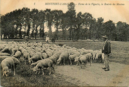 Montfort L'amaury * La Ferme De La Vignette * La Rentrée Des Moutons * Berger - Montfort L'Amaury