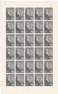 Belgique - COB 967 - Feuille Complète Sans Traces De Charnières - Unused Stamps