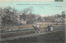 94-VILLIERS-SUR-MARNES- LA MORTIERE ET LE BOIS DE GAUMONT - Villiers Sur Marne