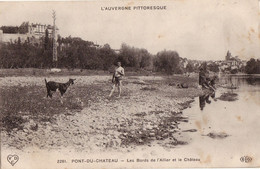 63 Auvergne Pittoresque Pont Du Chateau Bords Allier Et Chateau Baigneur Chevres Goat - Pont Du Chateau