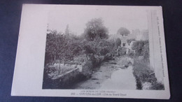 ♥️   LES BORDS DU LOIR LAURENTINE  263 L IRE AU GRAND DOUAI - Chateau Du Loir