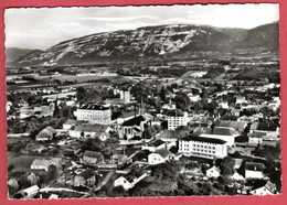 74 SAINT-JULIEN-en-GENEVOIS - Vue Générale Au Fond Le Mont Salève - Saint-Julien-en-Genevois