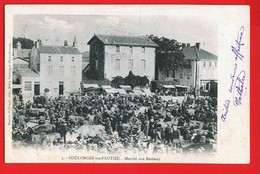 8728 - DEUX SEVRES - COULONGES SUR L'AUTIZE - Marché Aux Bestiaux - Dos Non Divisé - Coulonges-sur-l'Autize