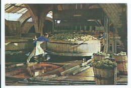 PRENSADO DE LA UVA / PRESSING THE GRAPES.- CAVAS CODORNIU.-  SANT SADURNI D'ANOIA - BARCELONA - CATALUNYA - Vignes