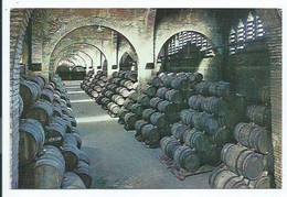 UNA BODEGA / UN CELLIER / A VAULT.- CAVAS CODORNIU.-  SANT SADURNI D'ANOIA - BARCELONA - CATALUNYA - Vignes