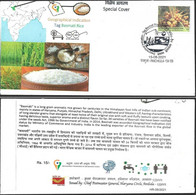 INDIA 2021 *** Basmati Rice  GI Tag Cover, COVID-19 ,Coronavirus ,Vaccination, Mask , Social Distancing (**) Inde Indien - Lettres & Documents