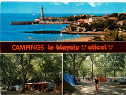 St Georges De Didonne * Camping Le Blayais * Alicat * Avenue Béteille - Saint-Georges-de-Didonne