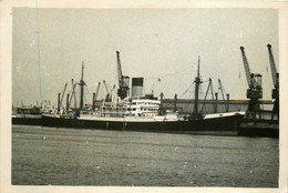 CALCHAS * Carte Photo * Bateau Commerce Cargo Paquebot * Holt Blue Funnel Compagnie Société - Commerce