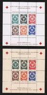 POLAND---Dachau   RED CROSS SHEETS Of  6 WATERMARKED & UNWATERMARKED MINT NH** (SS-659) - Gefängnislager