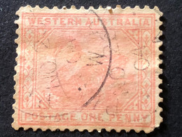 WESTERN AUSTRALIA 1902/3  SG 117 Yv 62 1d Carmine-rose - Used Stamps