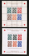 POLAND---Dachau   RED CROSS SHEETS Of  6 PERFORATED & IMPERFORATE MINT NH** (SS-663) - Campo De Prisioneros