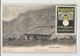Suisse Fr Fribourg Ferme En Montagne Vaches Paturage Alpestre Cachet Posieux 1905 Avec Vignette Ampoule électricité - FR Freiburg