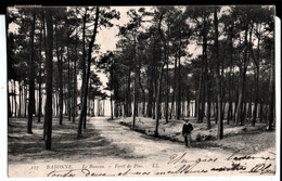 127. Bayonne. Le Boucau. Forêt De Pins. De Olympe à Melle Londaïts à Hasparen. 1906. - Boucau