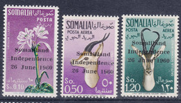 Italy Colonies Somalia (A.F.I.S.) 1960 Independence Overprint Animals Flowers, Mint Never Hinged - Somalie