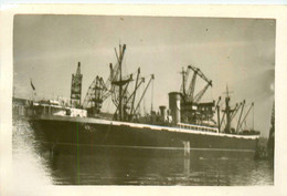 KELAFONIA * Carte Photo * Bateau Commerce Cargo Paquebot * Vergottis Armateur Compagnie Société - Koopvaardij