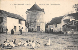 94-SUCY-EN-BRIE-FERME DE PACY LE PIGEONNIER - Sucy En Brie