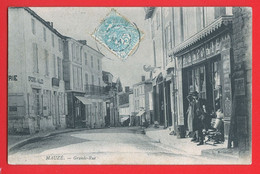 8769 - DEUX SEVRES - MAUZE SUR LE MIGNON - Grande Rue - Mauze Sur Le Mignon