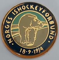 Norway Ice Hockey Association Norges Ishockeyforbund PINS A10/5 - Sports D'hiver