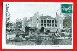 8779 - DEUX SEVRES - Château De CHAILLE  Commune De St. MARTIN - Melle