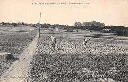 91-VERRIERES-LE-BUISSON - PLANTATIONS DE FLEURS - Verrieres Le Buisson