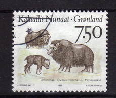 GROENLAND Greenland 1995 Boeuf Musqué Moskusokse  Yv 255 OBL - Used Stamps