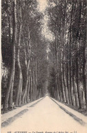 CPA FRANCE - 89 - AUXERRE - La Grande Avenue De L'Arbre Sec - LL - Auxerre