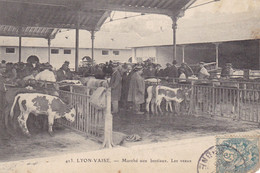 LYON - Vaise - Marché Aux Bestiaux - Les Veaux - Lyon 9