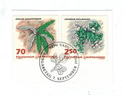 Liechtenstein BST Phyllitis Scolopendrium Hirschzunge - Asplenium Ruta-muraria 1992 - Briefe U. Dokumente