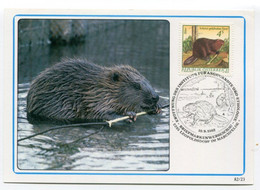 AUSTRIA 1982 Endangered Animals: Beaver On Maxicard.  Michel 1718 - Cartas Máxima