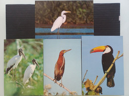 POST CARD CARTOLINE BRASIL CURITIBA BIRD 4 PIECES - Curitiba