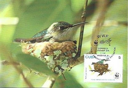 Cuba & Maximum Card, WWF,  Fauna En Peligro De Extinción, Colibri, Mellisuga Helenae, Habana 2005 (1021) - Cartoline Maximum