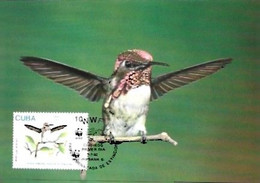 Cuba & Maximum Card, WWF,  Fauna En Peligro De Extinción, Colibri, Mellisuga Helenae, Habana 2005 (1787761) - Maximumkarten