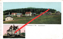 AK Ebersbach Buschhäuser Villa A Friedersdorf Spreedorf Neugersdorf Neusalza Spremberg Seifhennersdorf Eibau Georgswalde - Ebersbach (Löbau/Zittau)