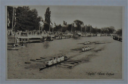 CPA Eights Week, Oxford - Concours D'aviron - Rowing